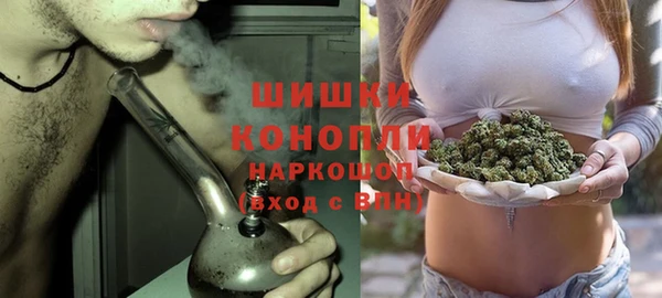 PSILOCYBIN Абаза