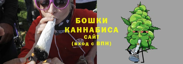 PSILOCYBIN Абаза