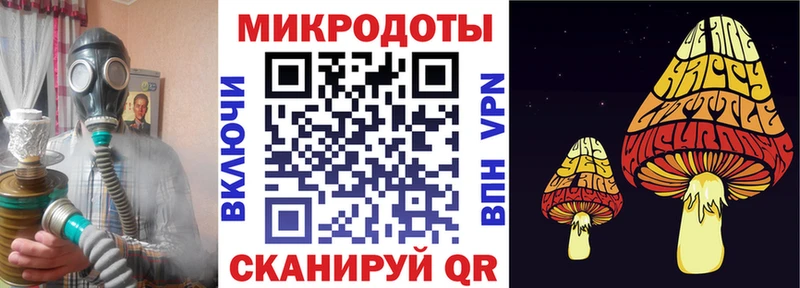 как найти закладки  Кедровый  Псилоцибиновые грибы Cubensis 